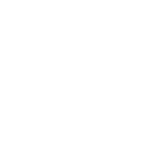 Logo - VVS famann