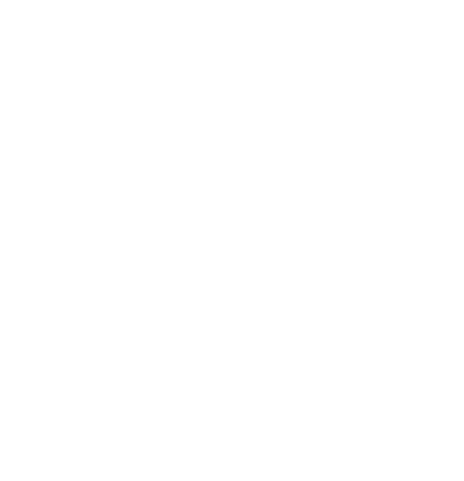 Logo - VVS famann
